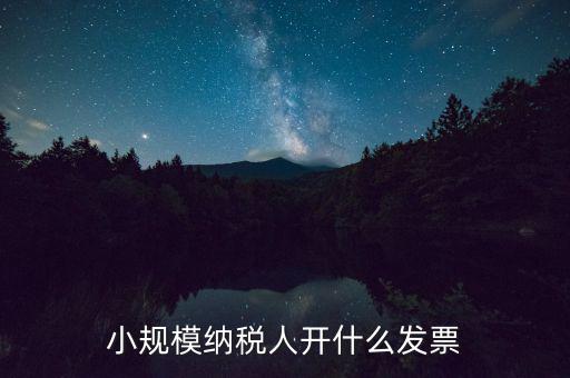 成都小規(guī)模應(yīng)開什么發(fā)票，小規(guī)模納稅人開什么發(fā)票
