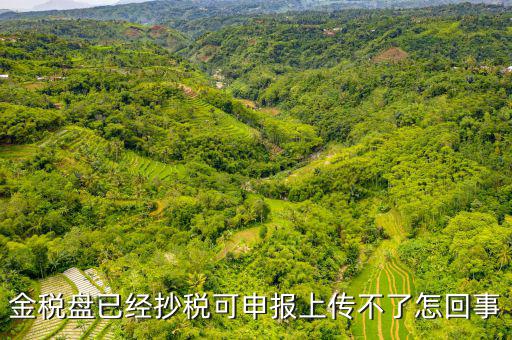 金稅申報發(fā)送不了是什么原因，金稅盤已經(jīng)抄稅可申報上傳不了怎回事