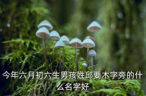 稅什么邱什么的名字，孩子姓邱該取什么名字呢男女都行
