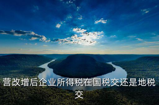 營改增后企業(yè)所得稅在國稅交還是地稅交