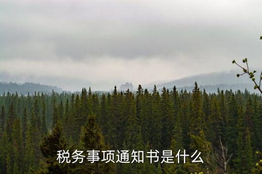 稅務(wù)事項(xiàng)通知書(shū)是什么