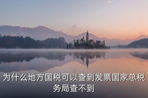 為什么地方國稅可以查到發(fā)票國家總稅務局查不到