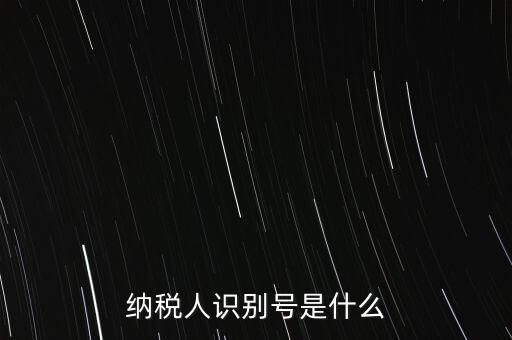 電子稅務(wù)局納稅人識別號是什么，納稅人識別號是什么