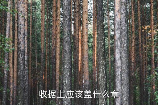 收據(jù)應(yīng)蓋什么章，收據(jù)蓋什么章有規(guī)定嗎