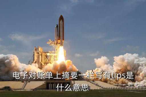 國稅tips系統(tǒng)指什么，電子對賬單上摘要一欄寫有tips是什么意思