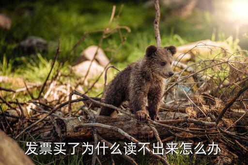 發(fā)票買了為什么讀不出來(lái)怎么辦