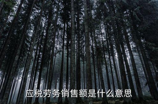 稅勞務(wù)銷售額是什么，增值稅會計處理銷售貨物或應(yīng)稅勞務(wù)的銷售額