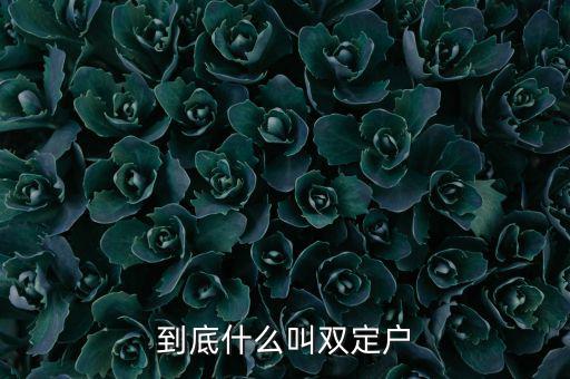 什么是雙定戶，雙翅一一翻雙眉什么雙眼什么