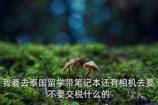 泰國(guó)什么人需要納稅，我要去泰國(guó)留學(xué)帶筆記本還有相機(jī)去要不要交稅什么的