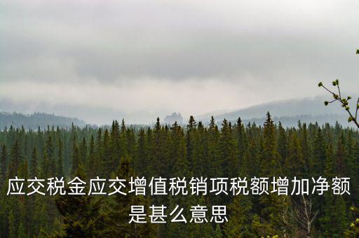 稅額增長點是什么意思，應(yīng)交稅金應(yīng)交增值稅銷項稅額增加凈額是甚么意思