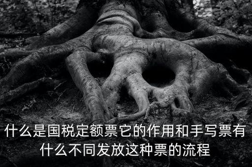 什么是國(guó)稅定額票它的作用和手寫票有什么不同發(fā)放這種票的流程