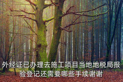 外管證報(bào)驗(yàn)都需要什么，辦了外管證咋申報(bào)