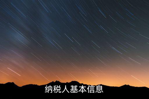 納稅人基本信息