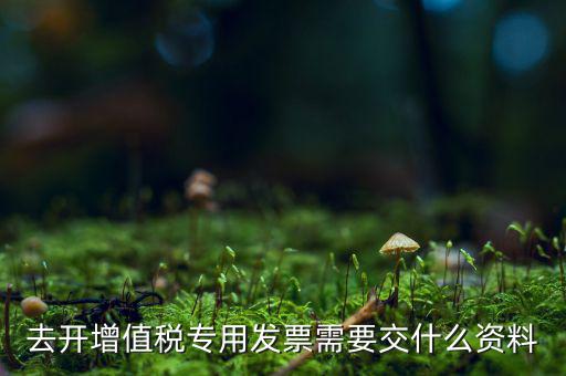 開(kāi)專(zhuān)票需要對(duì)方什么資料，開(kāi)具增值稅專(zhuān)用發(fā)票需要購(gòu)買(mǎi)方提交什么資料稅屋