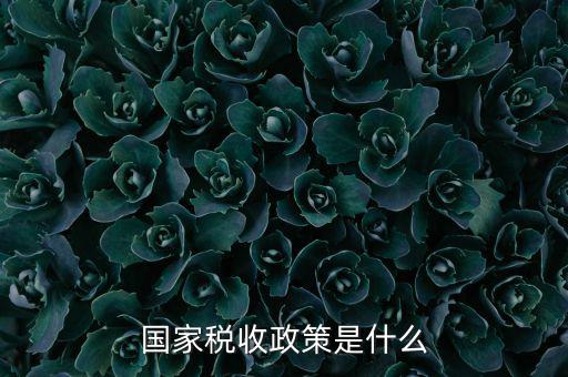 國(guó)家稅收政策是什么