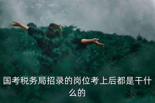 國考稅務局招錄的崗位考上后都是干什么的