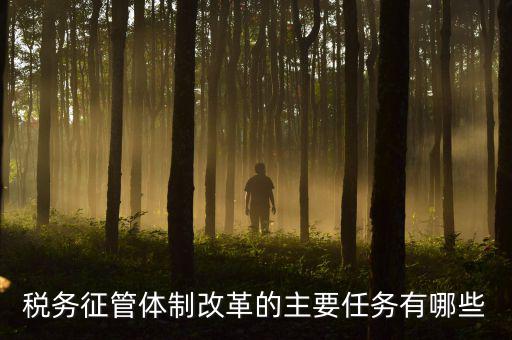 稅務系統(tǒng)的業(yè)務改革都有什么，稅務征管體制改革的主要任務有哪些