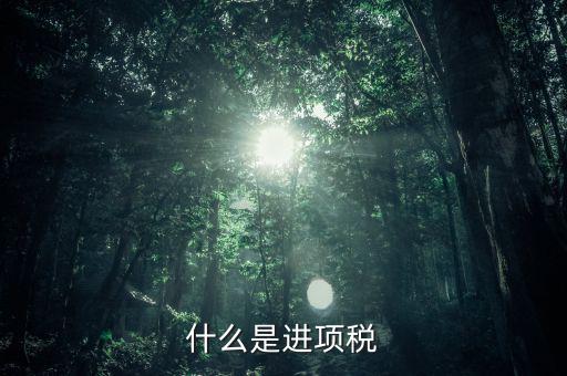 進(jìn)項(xiàng)是指什么，什么是進(jìn)項(xiàng)稅