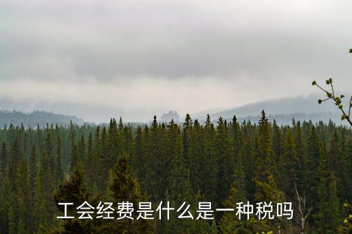 工會稅是什么，精靈樂章 工會抽稅是什么意思要詳細的