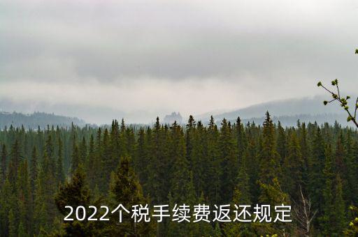 個稅返手續(xù)費什么時間，退個稅手續(xù)費2022年新規(guī)定