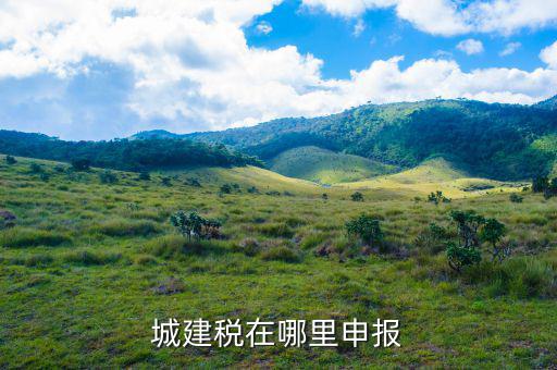 地稅城市維護(hù)建設(shè)稅按什么申報，城建稅申報