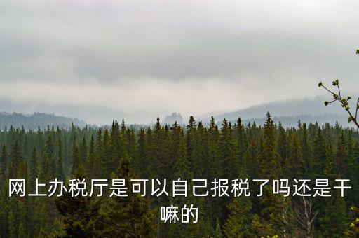 云廳報稅是什么意思，網(wǎng)上辦稅廳是可以自己報稅了嗎還是干嘛的
