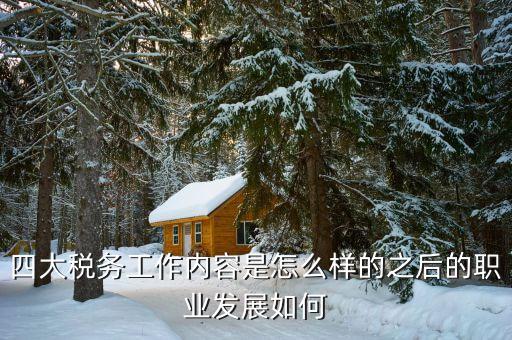 稅務(wù)四大攻堅(jiān)是什么，四大稅務(wù)工作內(nèi)容是怎么樣的之后的職業(yè)發(fā)展如何
