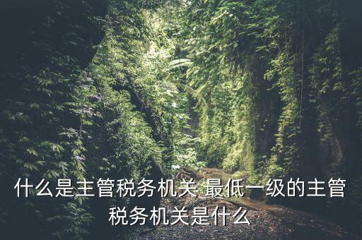 什么是主管稅務機關 最低一級的主管稅務機關是什么