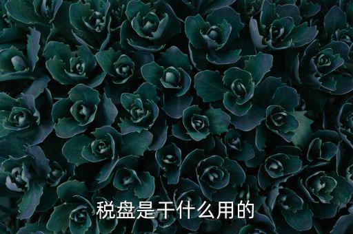 為什么要買金稅盤，稅控盤是一定要買的嗎
