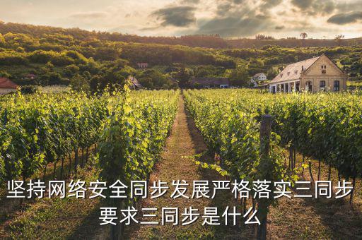 地稅局信息安全三同步是指什么，關(guān)鍵信息基礎(chǔ)設(shè)施三同步是指什么