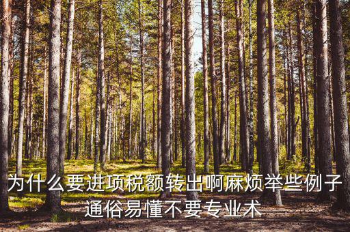 為什么要進項稅額轉(zhuǎn)出，為什么要進項稅額轉(zhuǎn)出啊麻煩舉些例子通俗易懂不要專業(yè)術(shù)