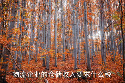 倉儲物流公司繳納什么稅，我是會計新手 請問各位師傅們物流公司應繳納什么稅
