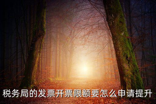 提高開票限額申請需要什么資料，去稅務(wù)局增大公司的開票限額需要帶些什么我公司第一次開票去申