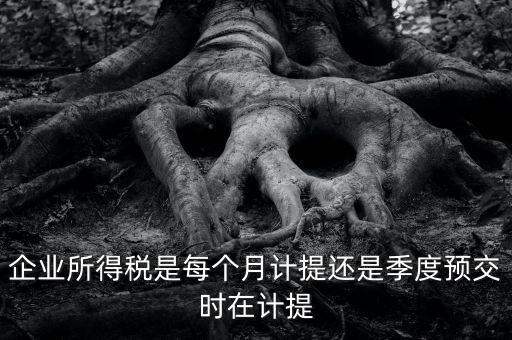 企業(yè)所得稅什么時候計提，企業(yè)所得稅在什么時候開始預(yù)提