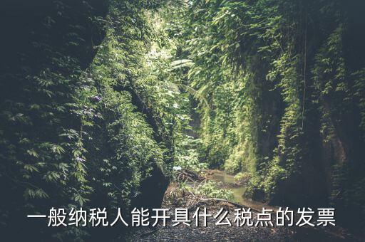 一般納稅人領(lǐng)什么發(fā)票，一般納稅人企業(yè)能開具和使用什么類型的發(fā)票