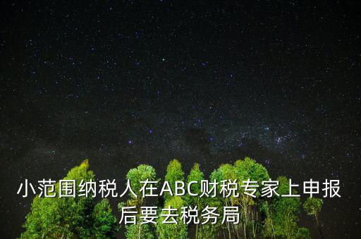 財(cái)稅專家是報(bào)什么稅，小范圍納稅人在ABC財(cái)稅專家上申報(bào)后要去稅務(wù)局