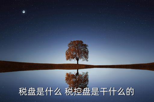 中稅協(xié)安全盤是什么，稅盤是什么 稅控盤是干什么的