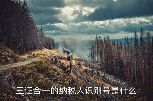 三證合一的稅號是什么，三證合一的納稅人識別號是什么