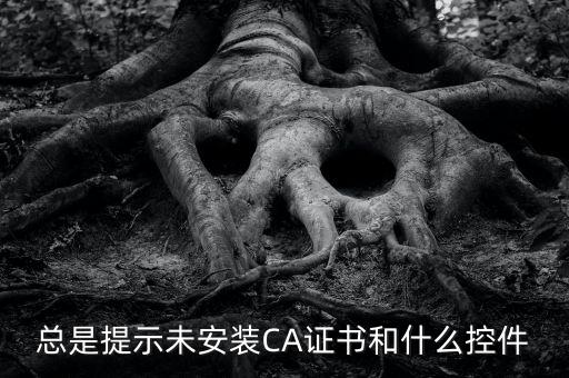 ca控件是什么意思，您是地稅CA用戶但未安裝企業(yè)CA控件為不影響申報(bào)功能正常使用請(qǐng)點(diǎn)