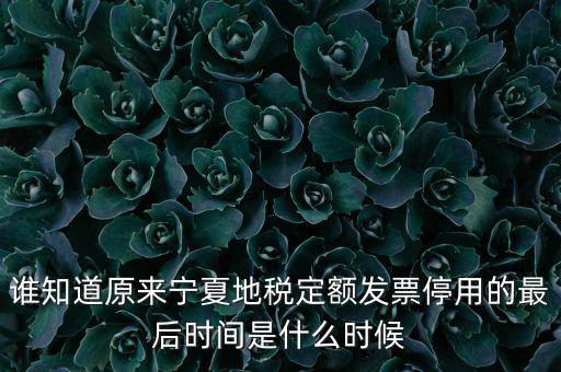 地稅的發(fā)票什么時(shí)候不能用，誰(shuí)知道原來(lái)寧夏地稅定額發(fā)票停用的最后時(shí)間是什么時(shí)候
