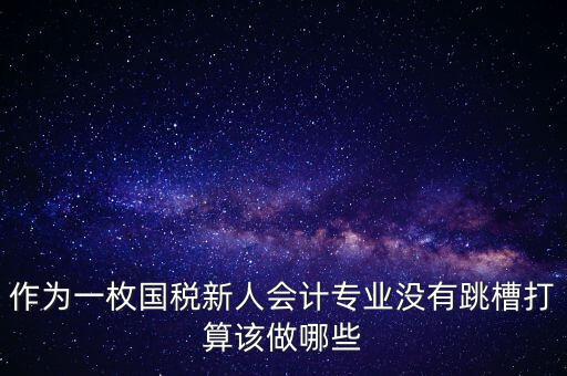 作為一枚國(guó)稅新人會(huì)計(jì)專業(yè)沒有跳槽打算該做哪些
