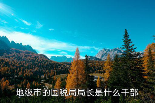 市國稅局局長什么級別，地級市的國稅局局長是什么干部