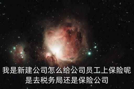 稅務(wù)局保險(xiǎn)是什么，稅務(wù)局讓企業(yè)交得規(guī)費(fèi)和參保費(fèi)是什么
