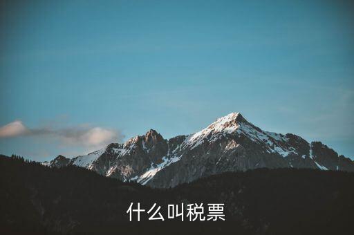 納稅稅票是什么，什么叫稅票