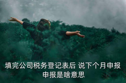 納稅登記表是什么意思，填完公司稅務(wù)登記表后 說(shuō)下個(gè)月申報(bào) 申報(bào)是啥意思