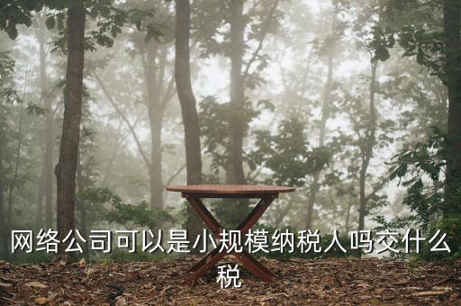 網(wǎng)絡(luò)公司可以是小規(guī)模納稅人嗎交什么稅