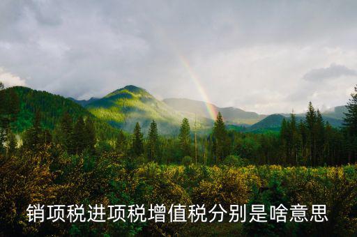 什么是銷(xiāo)項(xiàng)和進(jìn)項(xiàng)，進(jìn)項(xiàng)稅和銷(xiāo)項(xiàng)稅是什么意思