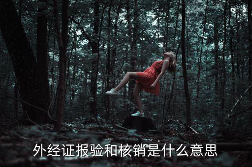 外經(jīng)證報(bào)驗(yàn)和核銷(xiāo)是什么意思