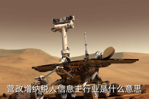 國稅主行業(yè)都是什么意思，營改增納稅人信息主行業(yè)是什么意思