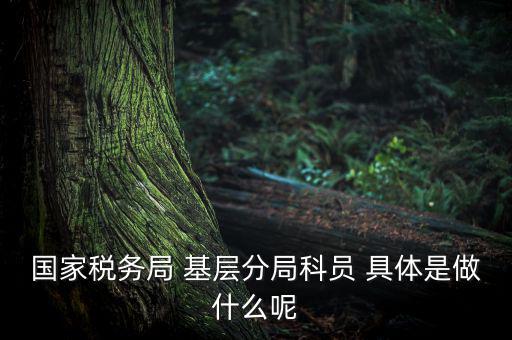 國地稅征管改革黨員干部干什么，國家稅務局 基層分局科員 具體是做什么呢